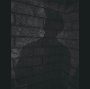 Meet your Posher, Ali